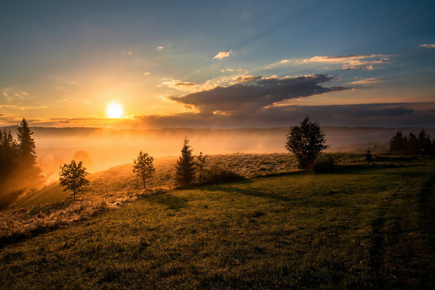 5 Key signs you're a morning person
