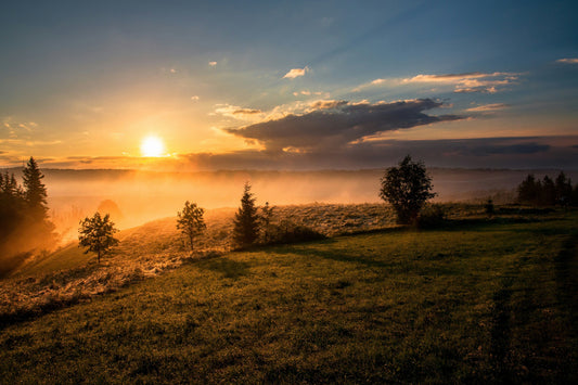 5 Key signs you're a morning person