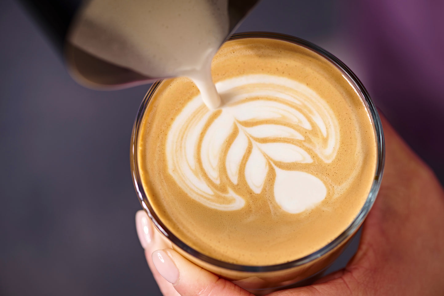 Barista Oat Drink