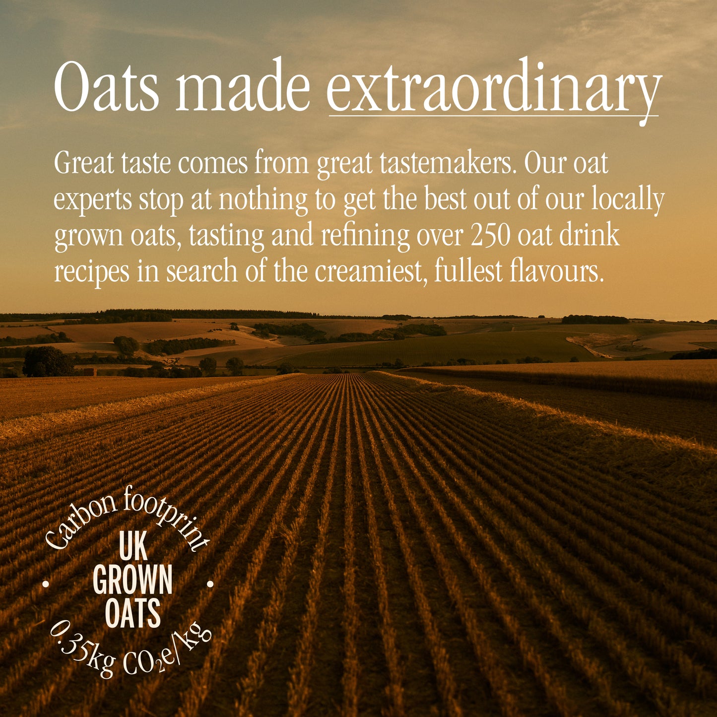 Organic Barista Oat Drink